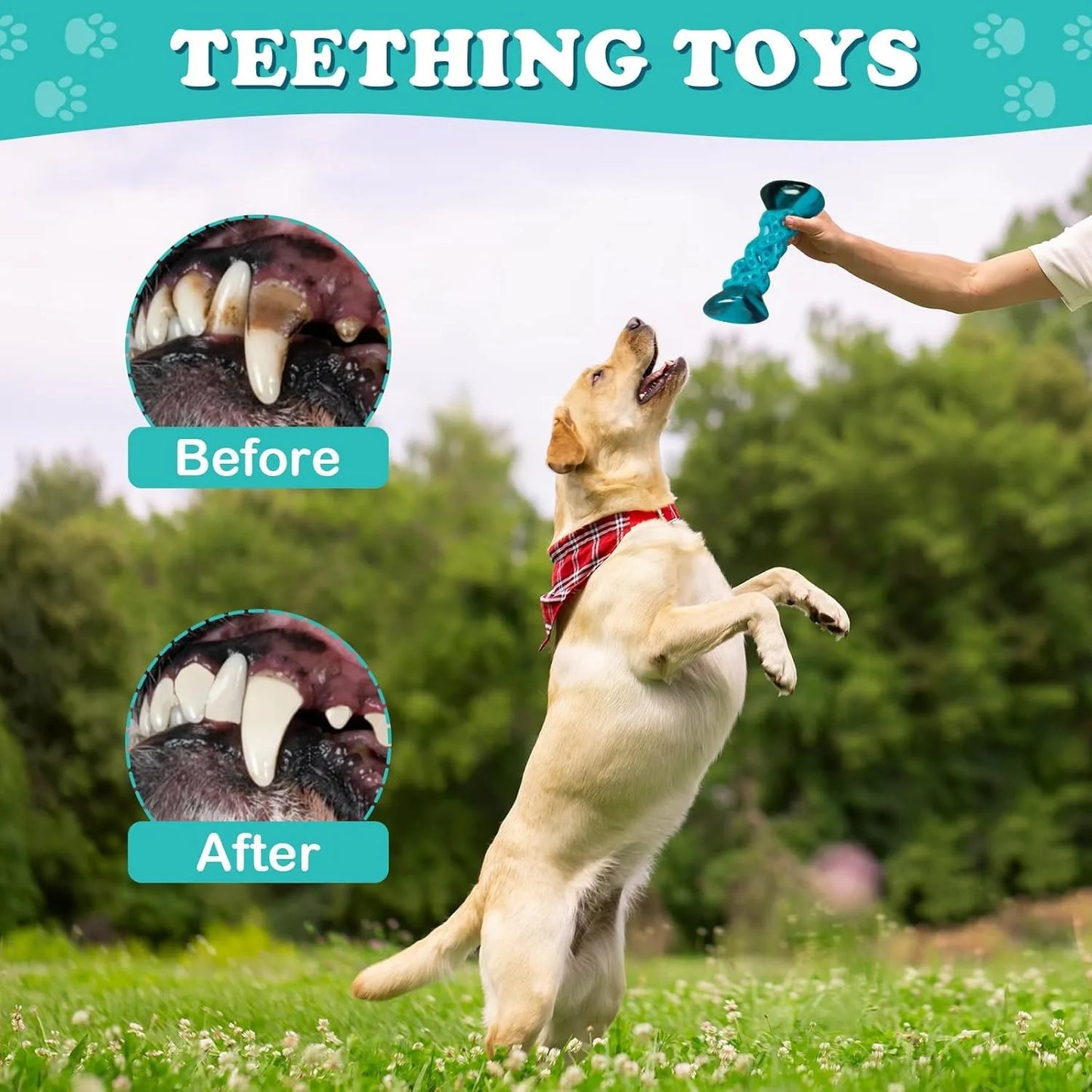 Indestructible Dog Chew Toys for Aggressive Chewers, Tough Dog Bones Chew Toys for Super Chewer,