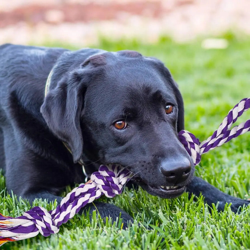 Large Tough Chew Toys for Aggressive Chewers Large Breed, Heavy Duty Dental Rope Toys Kit for Medium Dogs, 5 Knots Indestructibl