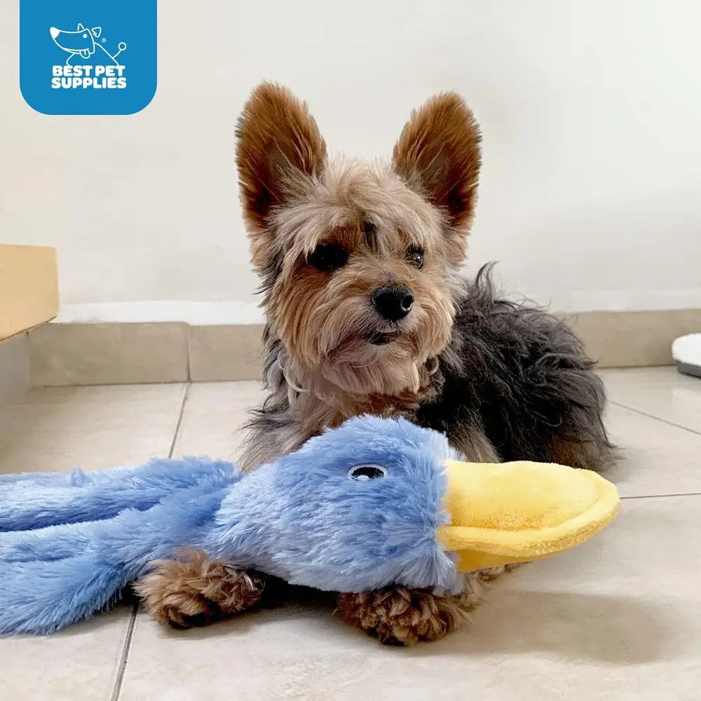 Interactive Squeaky Dog Chew Toy, Ideal for Small, Medium & Large Dogs, and Pet Lovers - Crinkle Duck (Yellow), Large