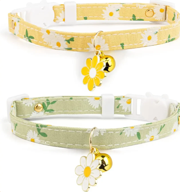 Collars and Leashes