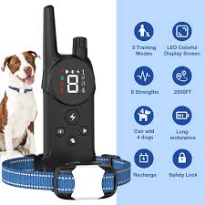 Dog Training Supplies