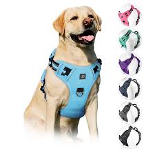 Harnesses