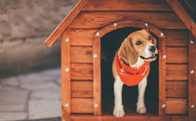 Dog & Cat Cages, Kennels, Homes, Playpens