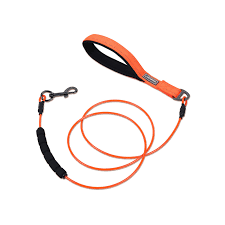 Training Leashes
