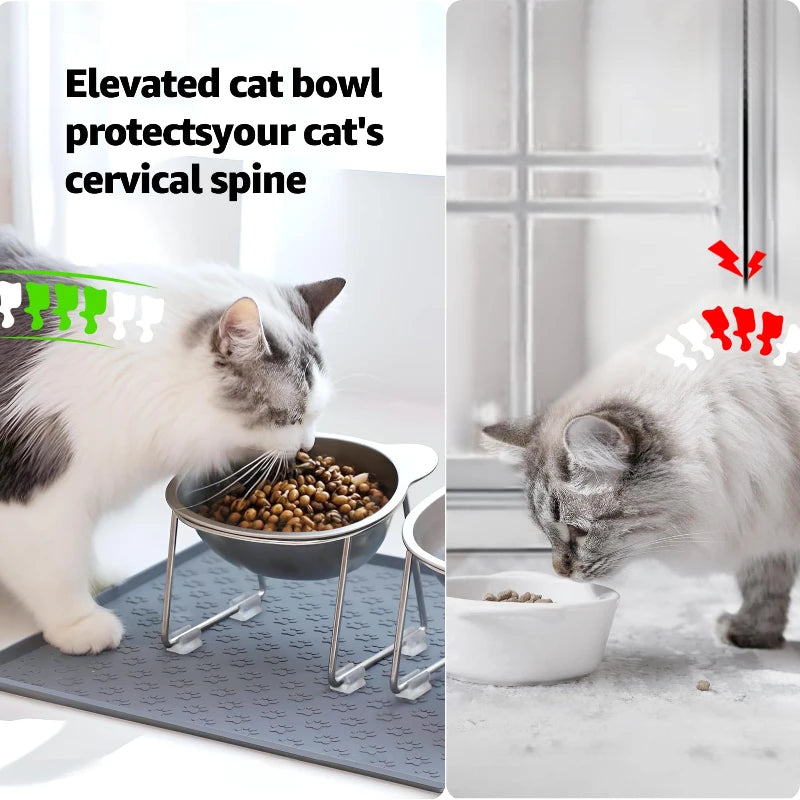 Stainless Steel Raised Cat Bowl with 15° Elevated Design Tilted Neck Guard Healthy Feeding Shatterproof for Cats Puppies