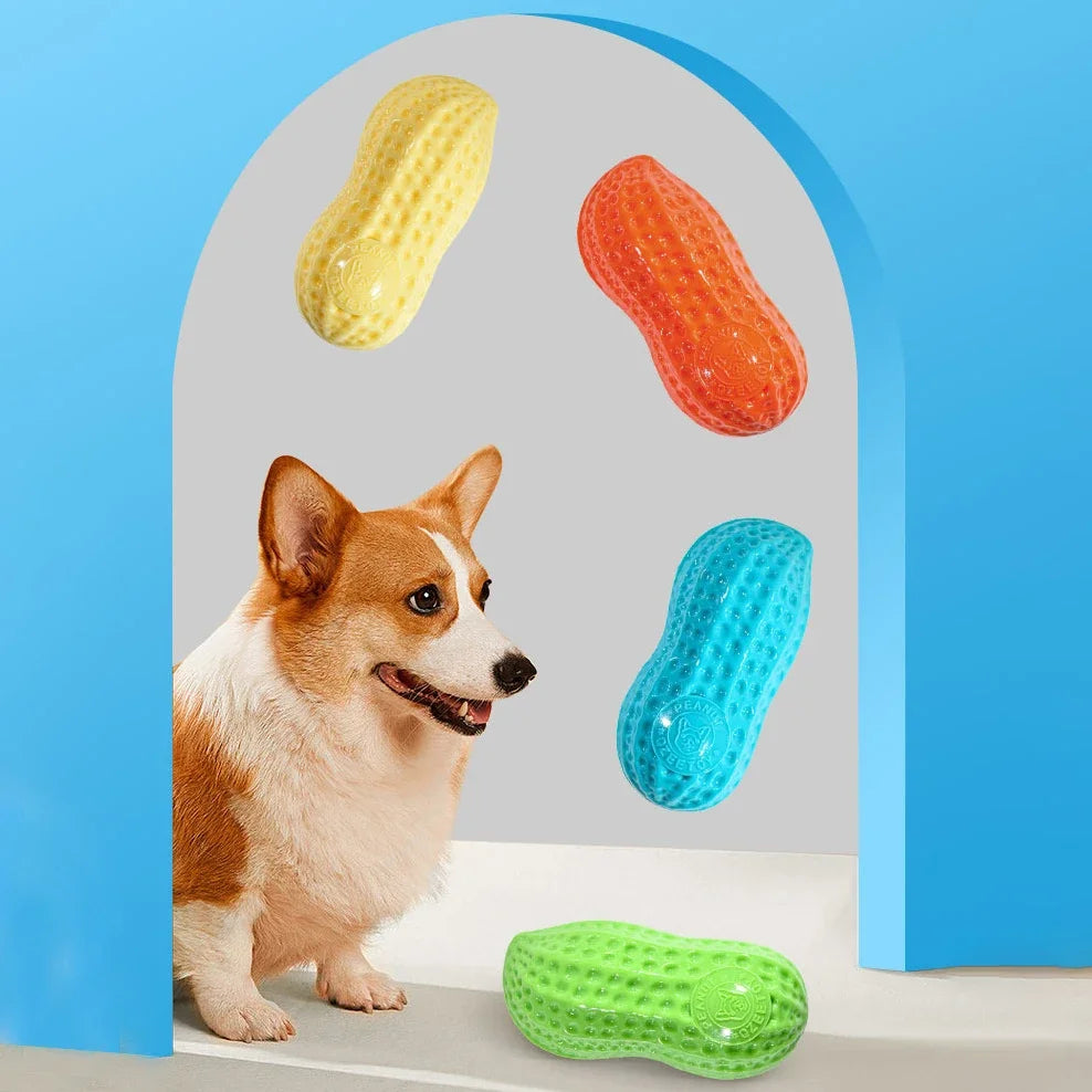 Squeaking  Peanut Dog Chewing Toy