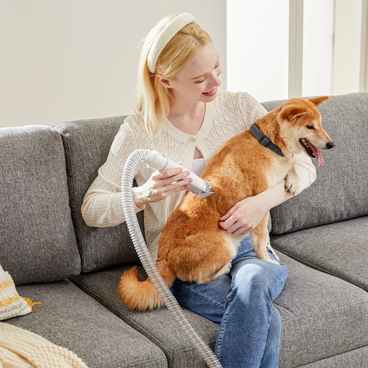Professional Pet Grooming Vacuum Kit 3 Suction Modes and 5 Groomer Tools with Cordless Low Noise Dog Clippers for Cats
