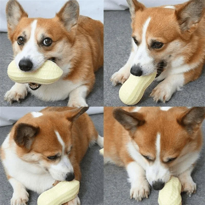 Squeaking  Peanut Dog Chewing Toy