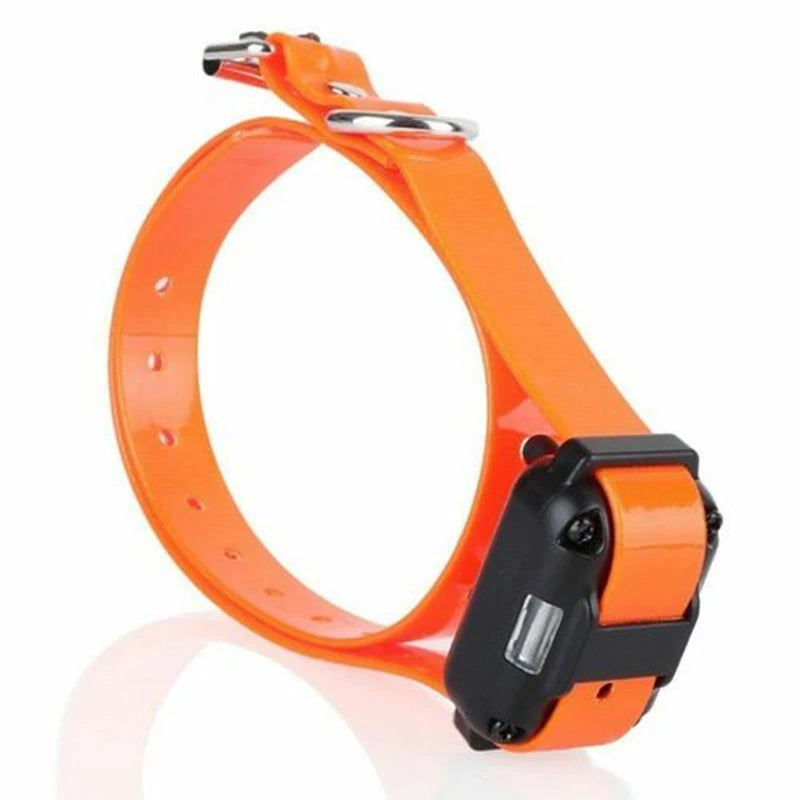 Electronic Collar