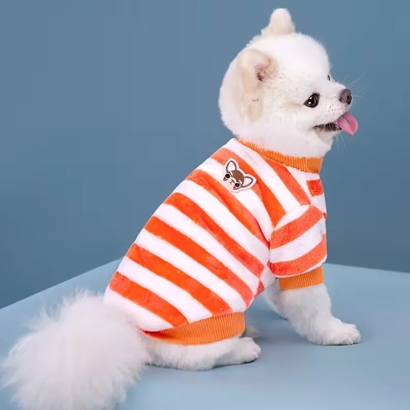Pet Clothes Striped Puppy, Dog Coat, Jacket Small, Medium Dogs