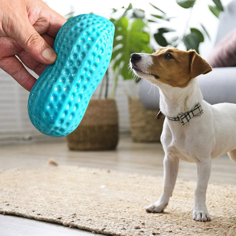 Squeaking  Peanut Dog Chewing Toy