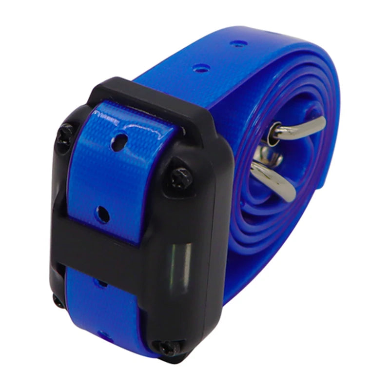 Electronic Collar