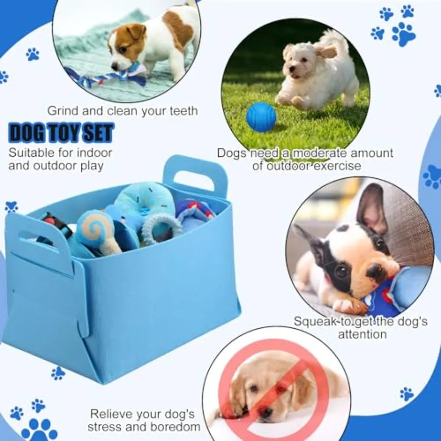 50 Pcs Puppy Supplies Starter Kit for Small Dogs Puppy Essentials Includes Leash Bowls Teeth Brushes Water Bottle and More Acce