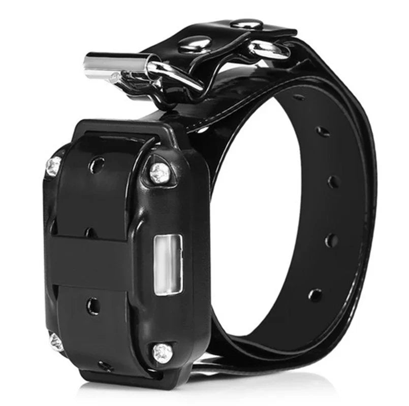 Electronic Collar